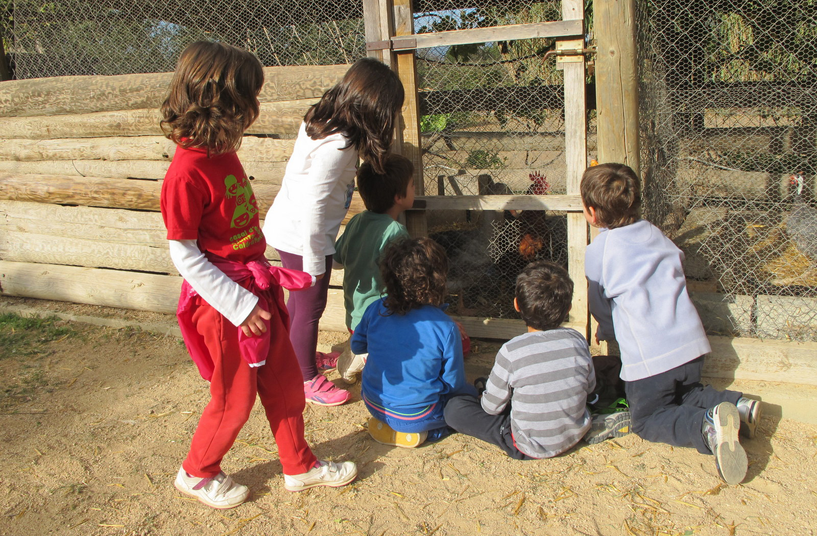 Nens i nenes observant els animals de la granja